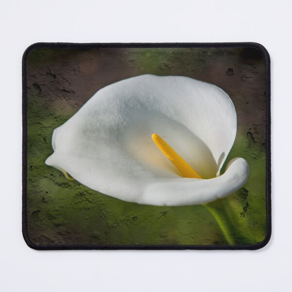 Item preview, White Lily designed and sold by Dave Hare Photography.