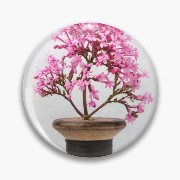 Item preview, Wooden Vase designed and sold by Dave Hare Photography.