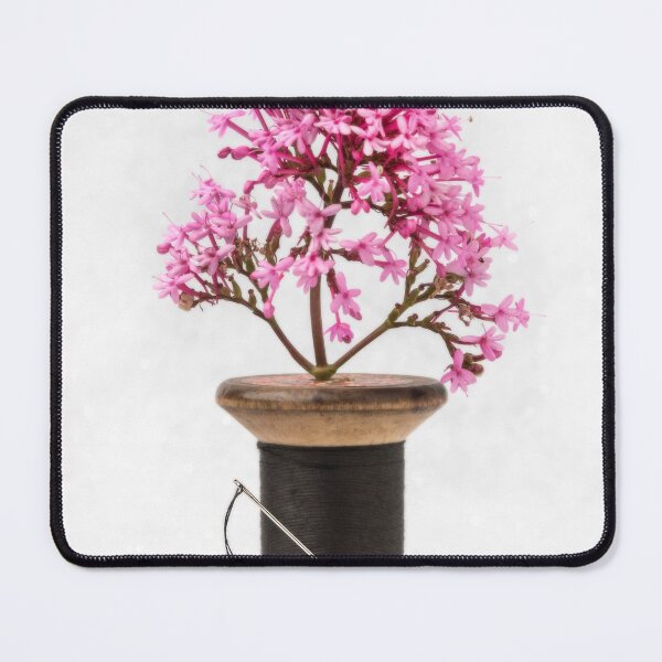 Item preview, Wooden Vase designed and sold by Dave Hare Photography.