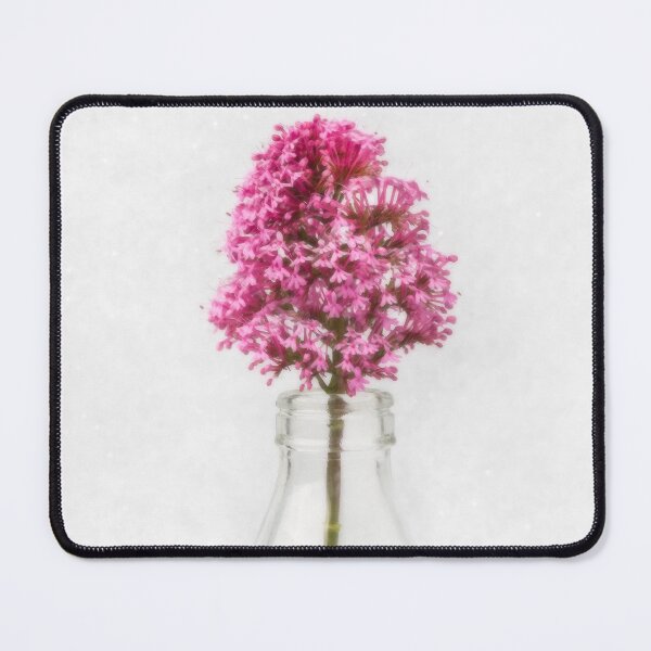 Item preview, Tiny Vase designed and sold by Dave Hare Photography.