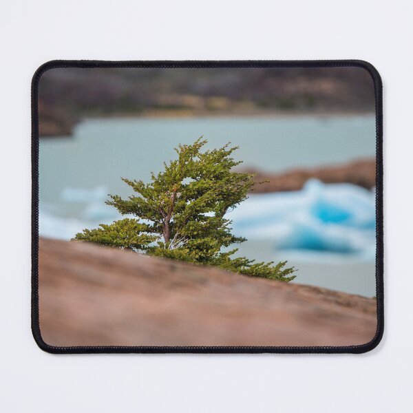 Item preview, Patagonian Tree designed and sold by Dave Hare Photography.