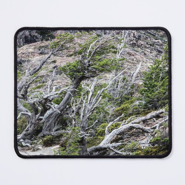 Item preview, Windswept Woodland designed and sold by Dave Hare Photography.
