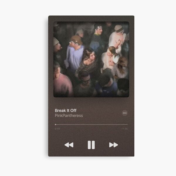 Pinkpantheress Passion Single Art Canvas Print By Kamilfav Redbubble