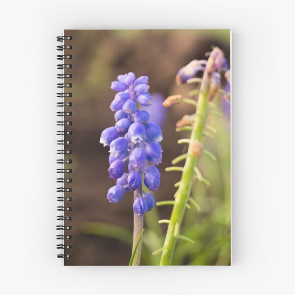 Item preview, 10116 bluebell designed and sold by pcfyi.