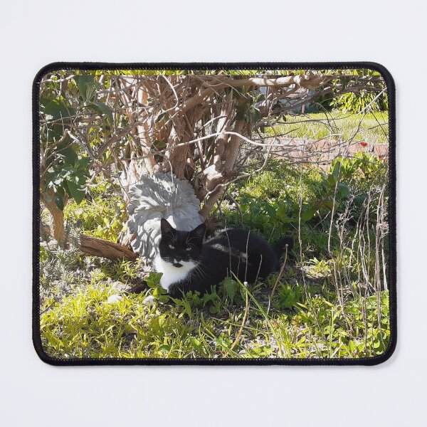 Item preview, Dolly in nature designed and sold by Cat-yawns.