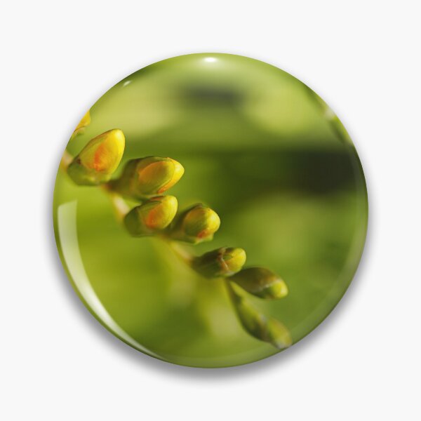 Item preview, Waking Up Yellow Freesia designed and sold by Joy Watson - Natural Light Photography .