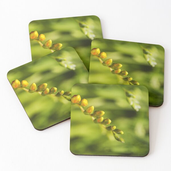 Item preview, Waking Up Yellow Freesia designed and sold by Joy Watson - Natural Light Photography .