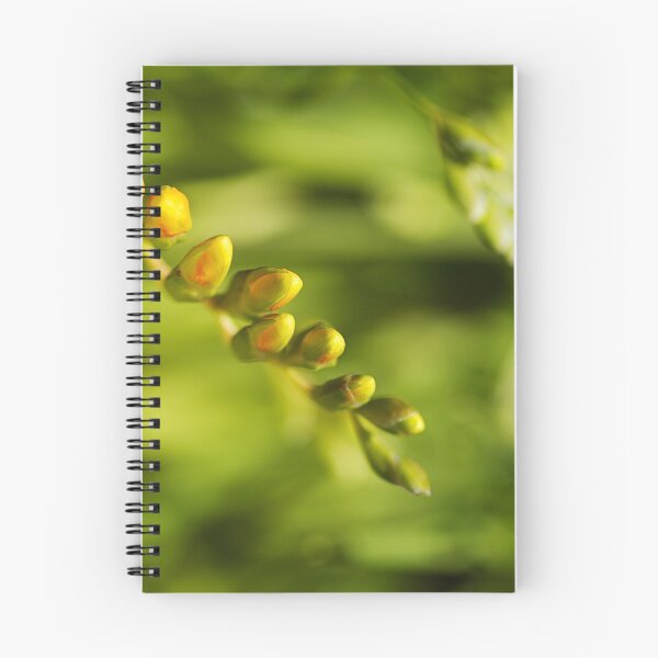 Item preview, Waking Up Yellow Freesia designed and sold by Joy Watson - Natural Light Photography .