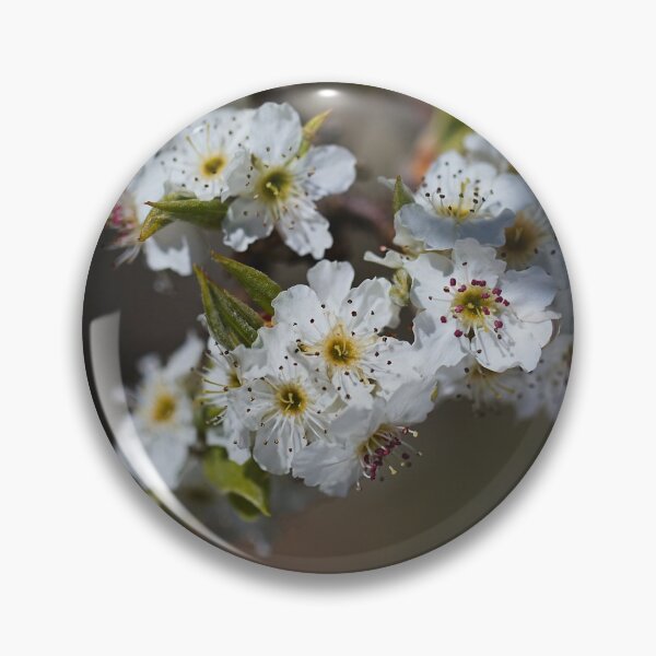 Item preview, Ornamental Pear Flowers designed and sold by Joy Watson - Natural Light Photography .