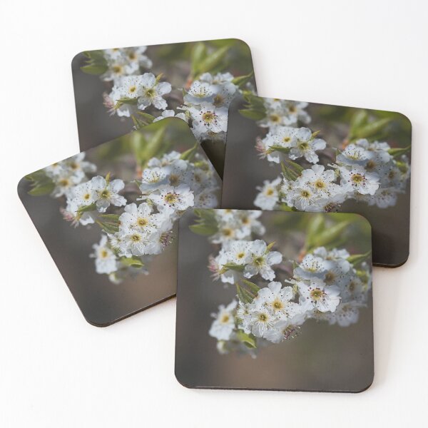 Item preview, Ornamental Pear Flowers designed and sold by Joy Watson - Natural Light Photography .