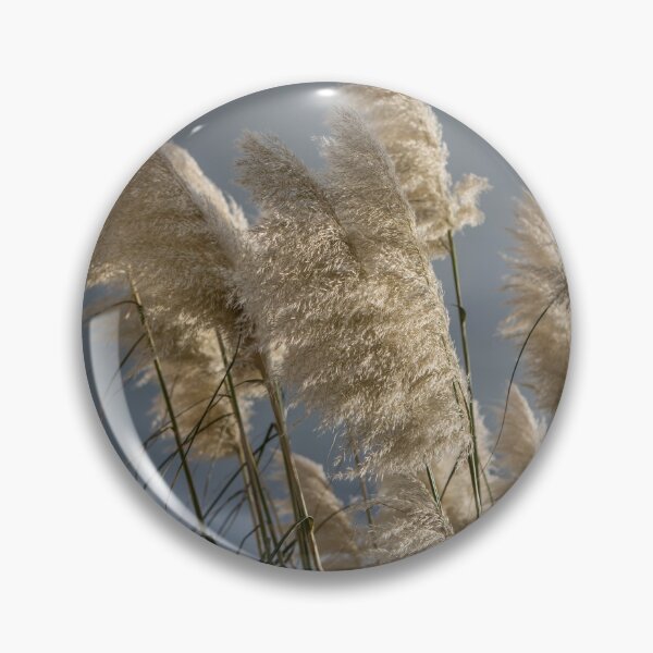 Item preview, Pampas Grass designed and sold by Dave Hare Photography.