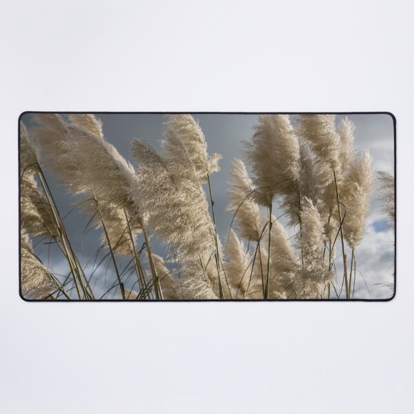 Item preview, Pampas Grass designed and sold by Dave Hare Photography.
