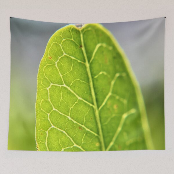 Item preview, Green leaf close-up designed and sold by CCC2021.