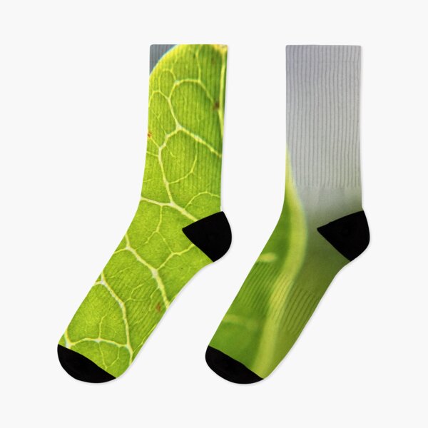 Item preview, Green leaf close-up designed and sold by CCC2021.