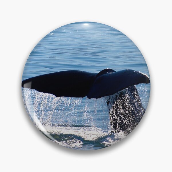 Item preview, Time To Go designed and sold by Dave Hare Photography.