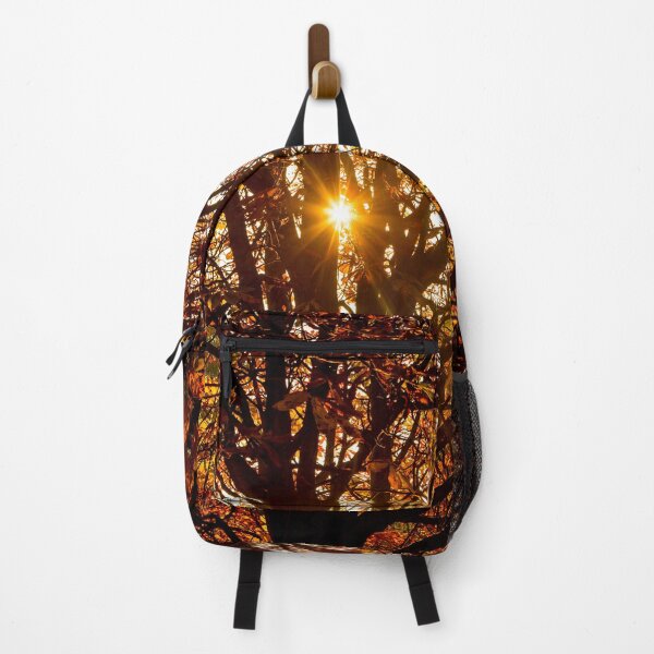 Item preview, Autumn Light. designed and sold by Dave Hare Photography.