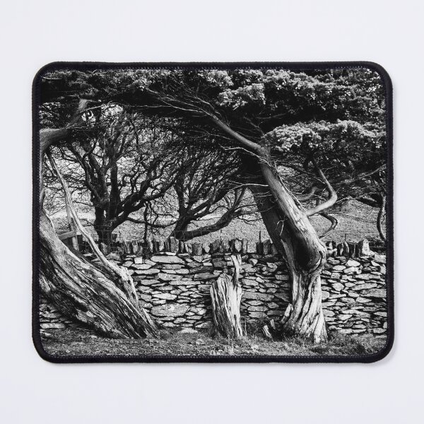 Item preview, Old wood and stone designed and sold by Dave Hare Photography.
