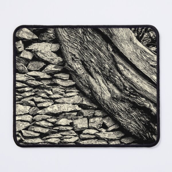 Item preview, Twisted Tree. designed and sold by Dave Hare Photography.