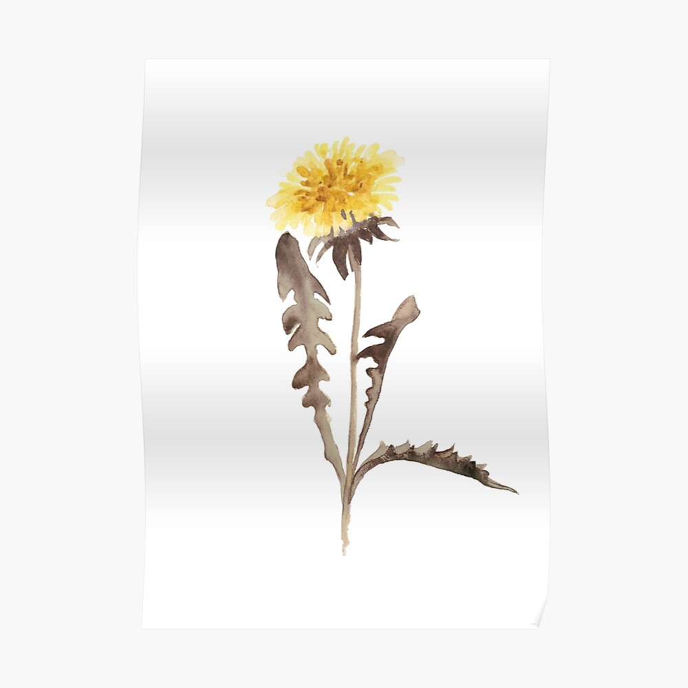 Aster Flower Watercolor Painting Abstract Floral Drawing Poster Greeting Card By Asiaszmerdt Redbubble