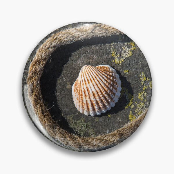 Item preview, Shell and Rope designed and sold by Dave Hare Photography.