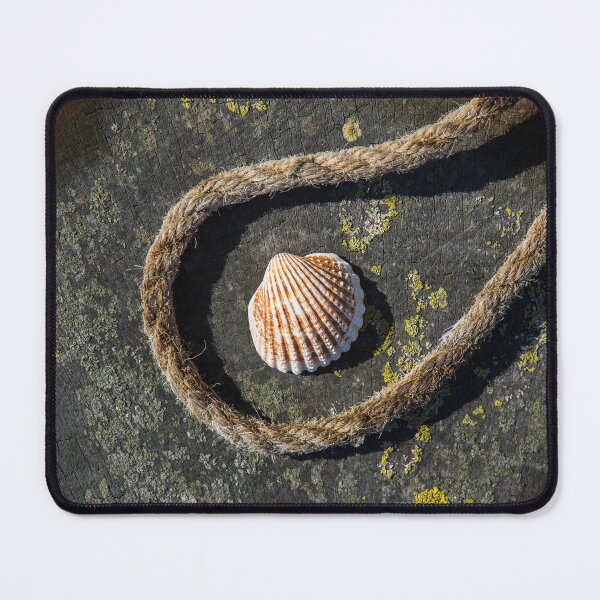 Item preview, Shell and Rope designed and sold by Dave Hare Photography.