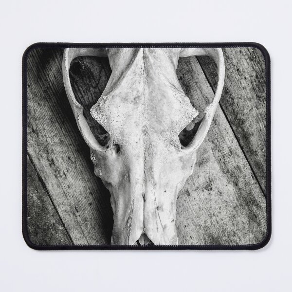 Item preview, Skull on Wood designed and sold by Dave Hare Photography.