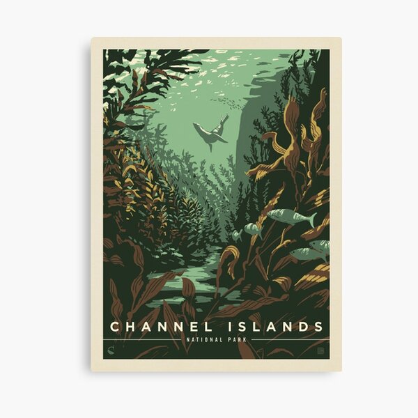 Vista previa del artículo con la obra «Parque Nacional Channel Islands», diseñado y vendido por michaeln918.