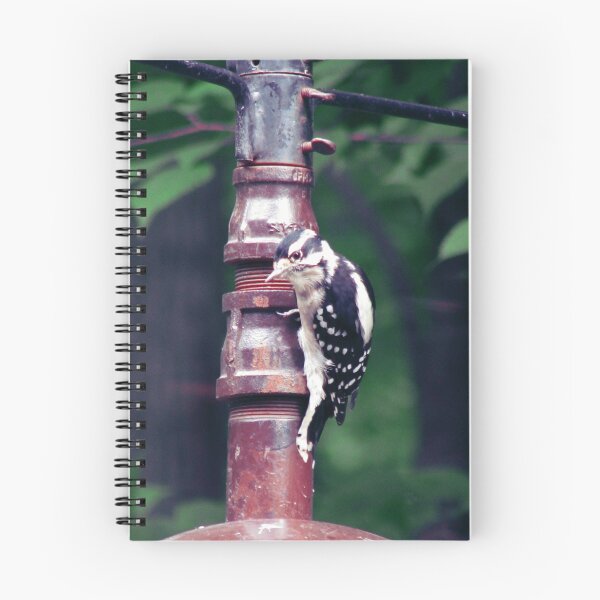 Item preview, Downy Woodpecker designed and sold by leebradford.