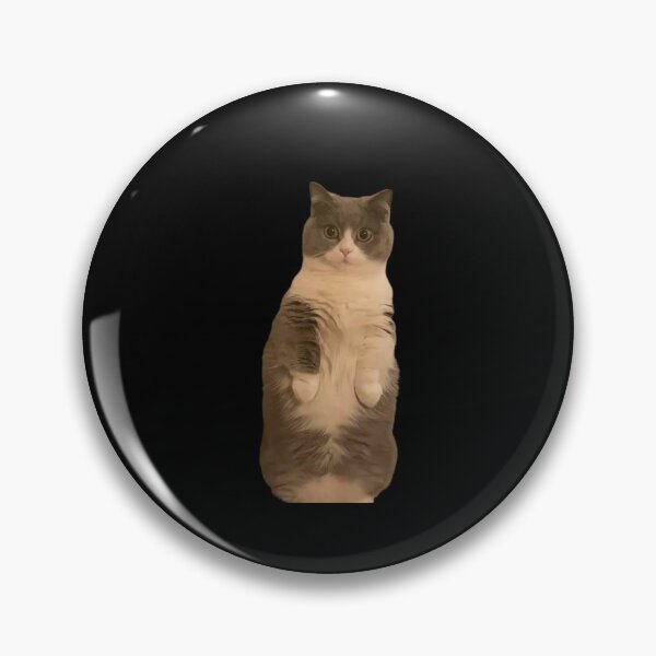 Item preview, WTF cat face reaction designed and sold by Noor-alhuda.