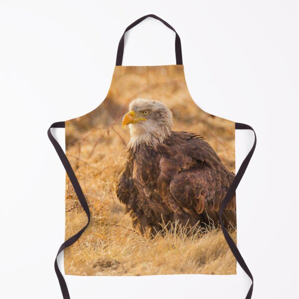 Item preview, Bald Eagle designed and sold by Dave Hare Photography.