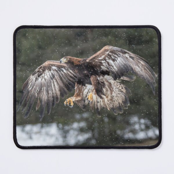 Item preview, Eagle in the snow. designed and sold by Dave Hare Photography.