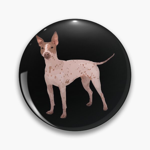 Item preview, American Hairless Terrier designed and sold by BRILMO.