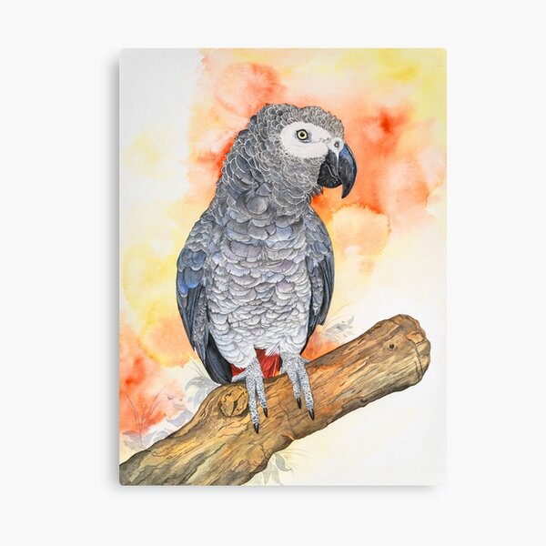 African gray parrot '' Poppy '' Canvas Print
