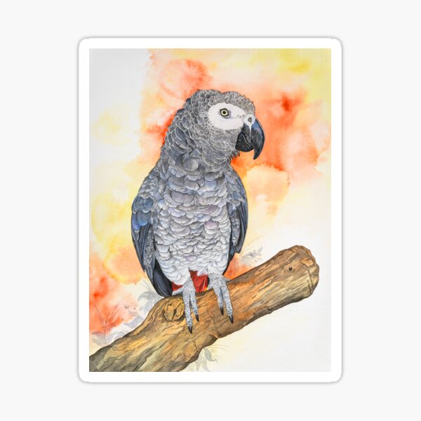 African gray parrot '' Poppy '' Sticker