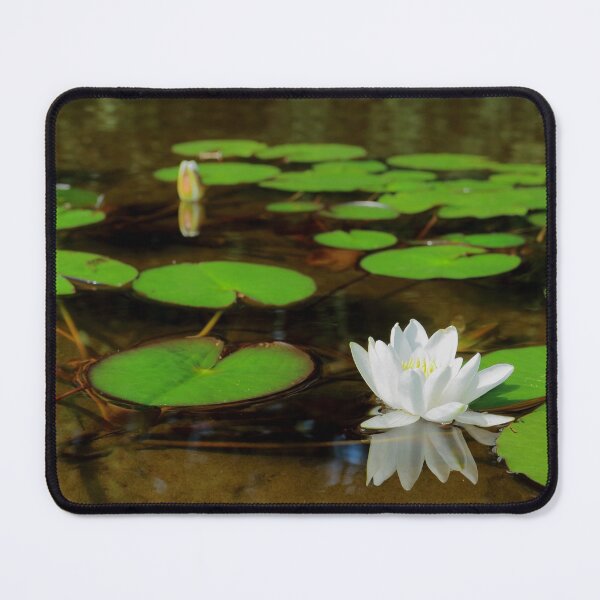 Item preview, Lily Pads designed and sold by FantasySkyArt.