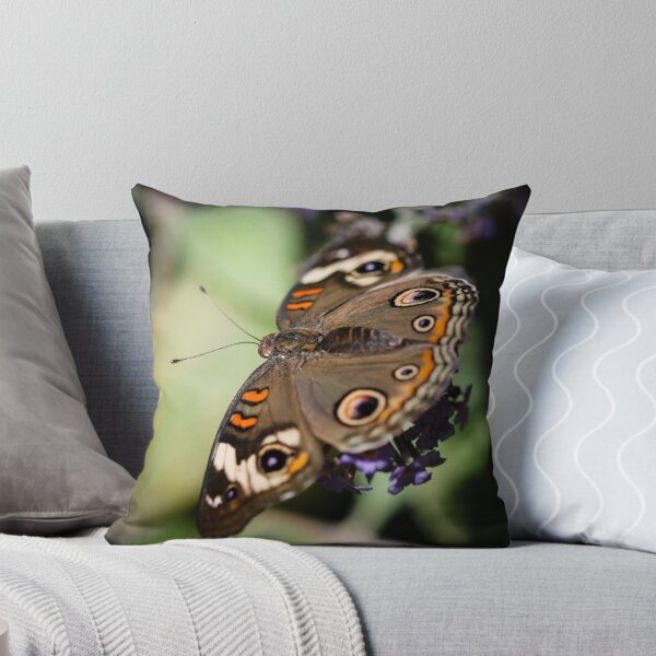 Item preview, Common Buckeye Junonia Coenia designed and sold by Henrik Lehnerer.