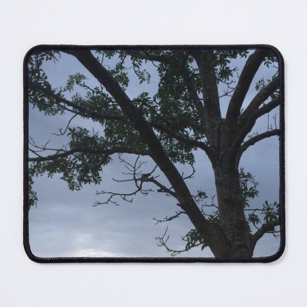 Item preview, Nature Photography designed and sold by Neon2.