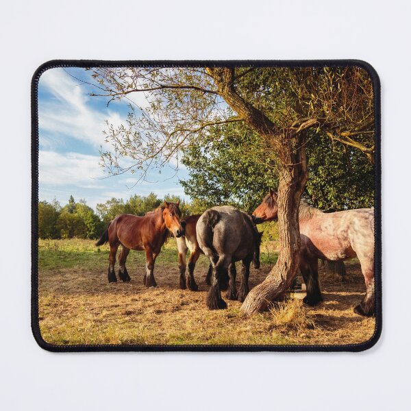 Item preview, Draft horses seek shelter under a tree designed and sold by svanaerschot.