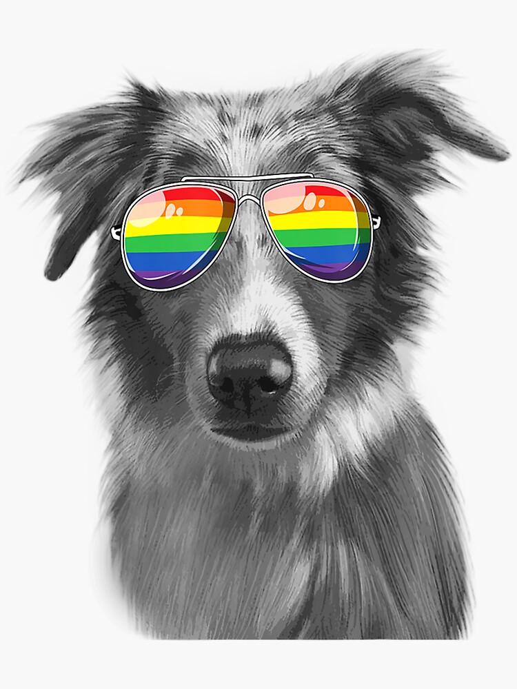 " Australian Shepherd Pride Flag Sunglasses" Sticker for Sale by