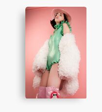 Space Cowgirl Canvas Print