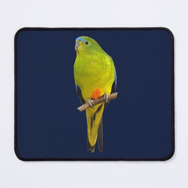 Orange-bellied Parrot 2 Mouse Pad