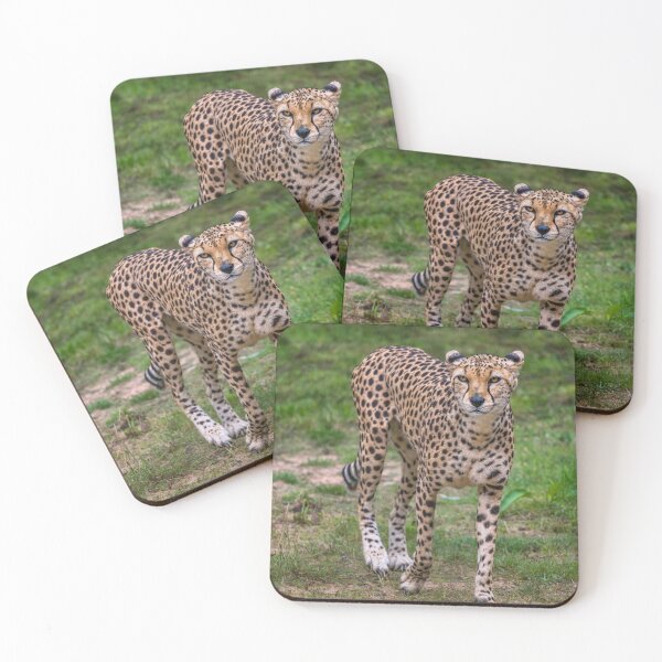 Item preview, Cheetah designed and sold by AJEvans.