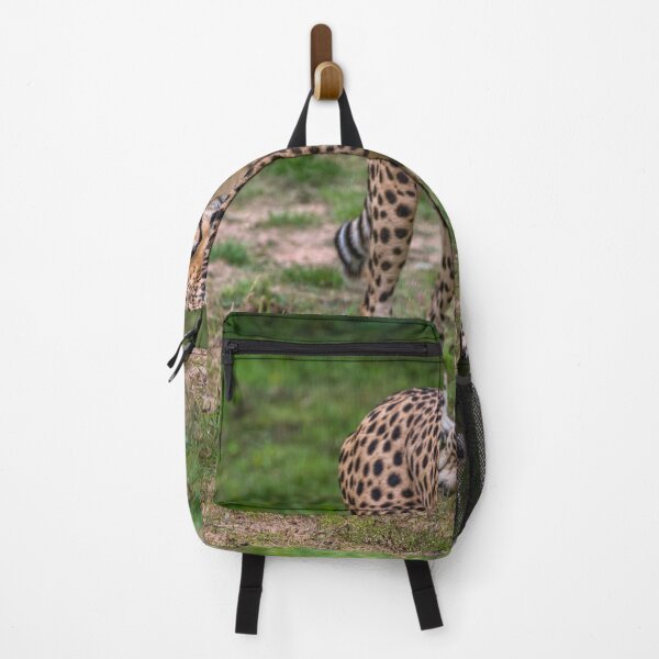 Item preview, Cheetah designed and sold by AJEvans.