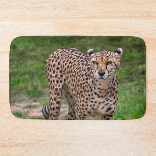 Item preview, Cheetah designed and sold by AJEvans.