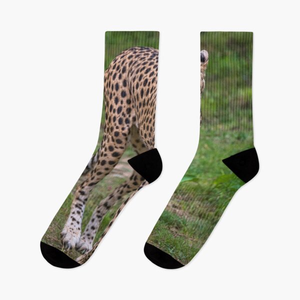 Item preview, Cheetah designed and sold by AJEvans.