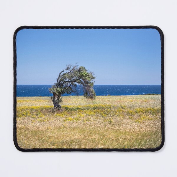 Item preview, Single Cypriot Tree designed and sold by Dave Hare Photography.