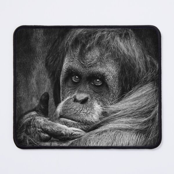 Item preview, Sumatran Orangutan designed and sold by AJEvans.