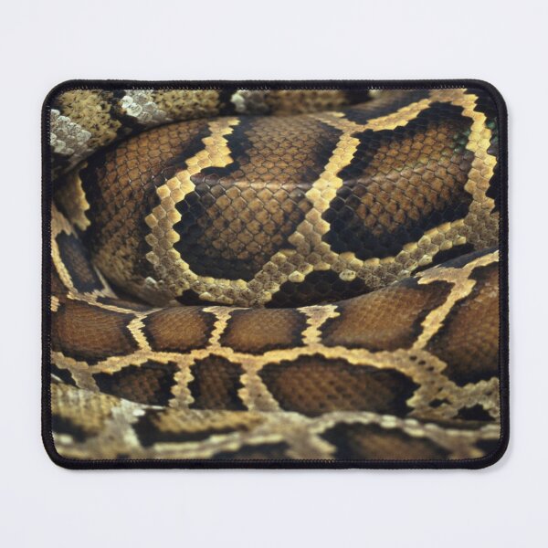 Item preview, Golden Brown Coiled Snake designed and sold by cgroenewald.