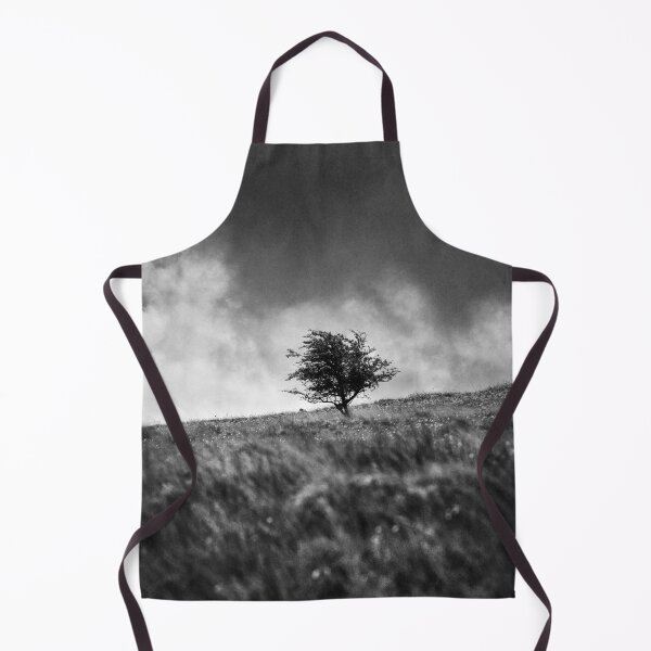 Item preview, Single Tree on Dartmoor designed and sold by Dave Hare Photography.