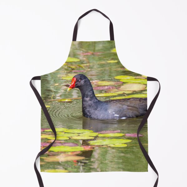 Item preview, Moorhen designed and sold by Dave Hare Photography.